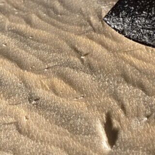 #Guitar #guitarbuilding #guitarbuilder #luthier #luthiery #luthery  #handmade #wood #woodworking #whatsonyourbench