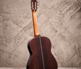 BASIS-eirgarcia-back